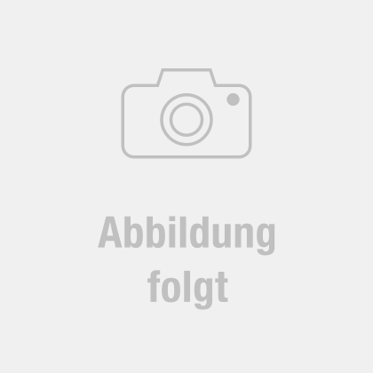 Flexrohr, Abgasanlage